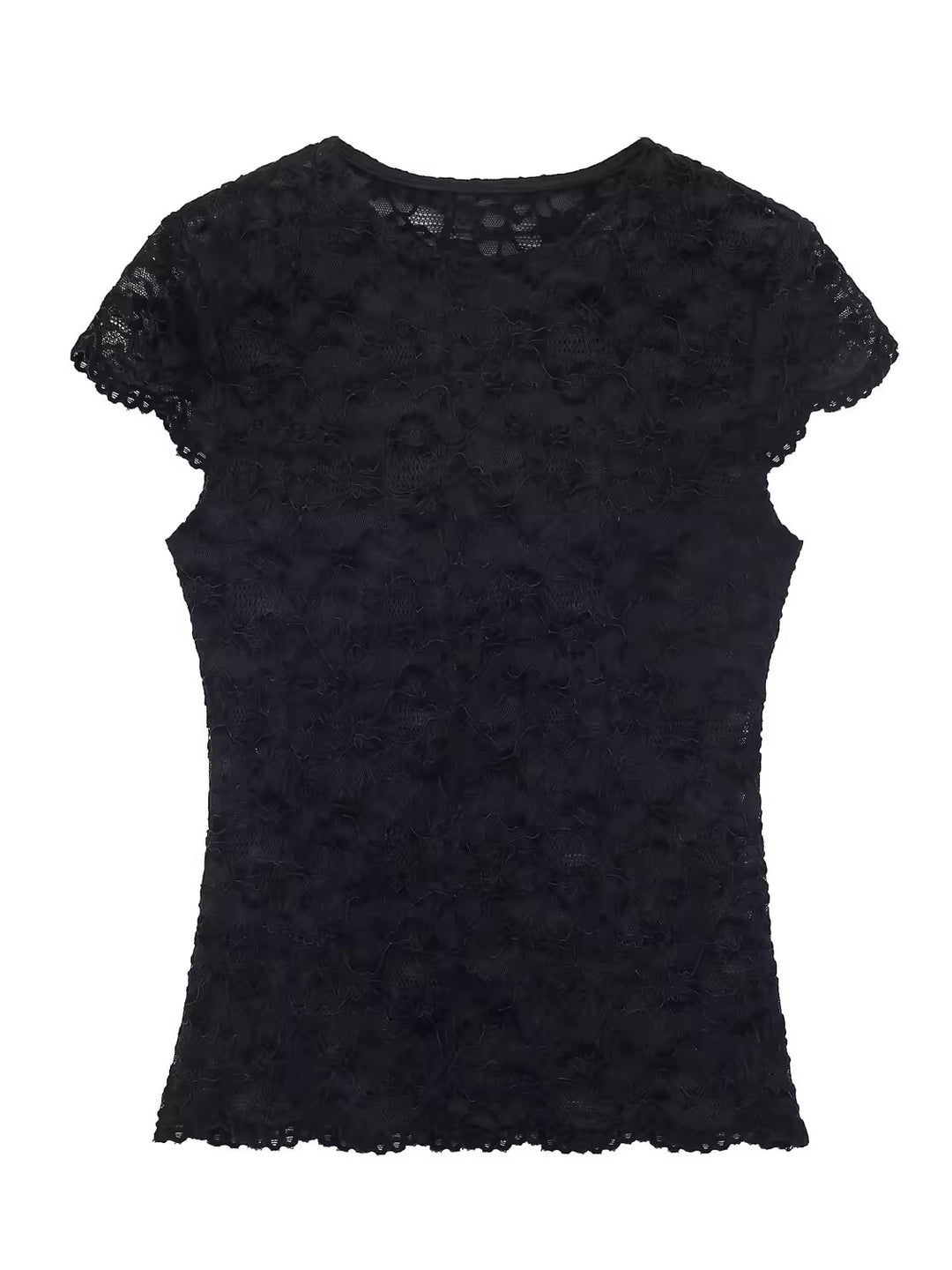 シアーレースコンパクトショートスリーブトップス